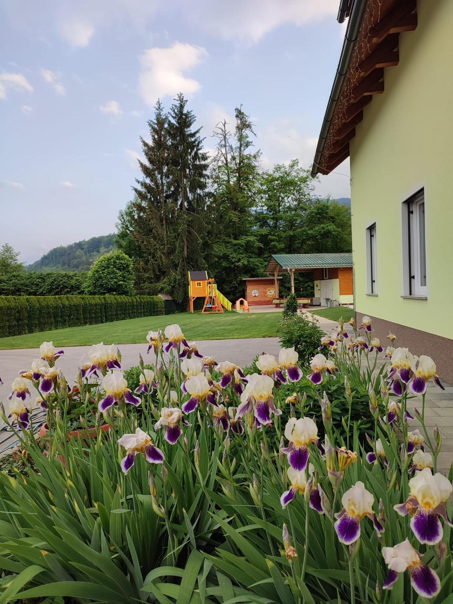 Apartments And Wellness Jelovca Radovljica Εξωτερικό φωτογραφία